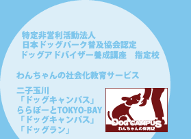 特定非営利活動法人日本ドッグパーク普及協会認定　ドッグアドバイザー養成講座指定校　ららぽーとTOKYO-BAY 犬の社会化教育サービス　ドッグキャンパス